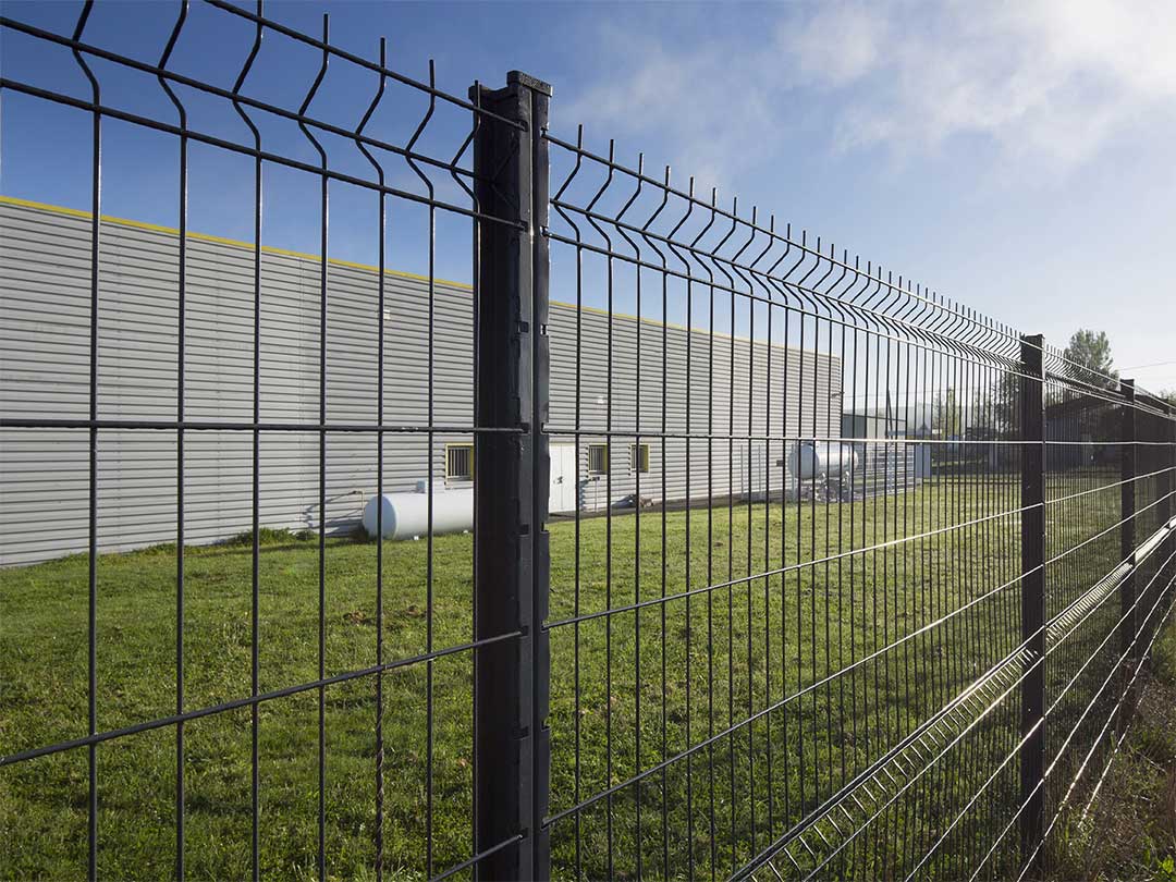 Stantors5_1Quaglia-Diffusion